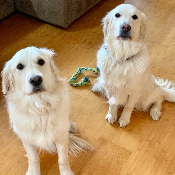 Meet me, Taylor! - Picture 4 of 6